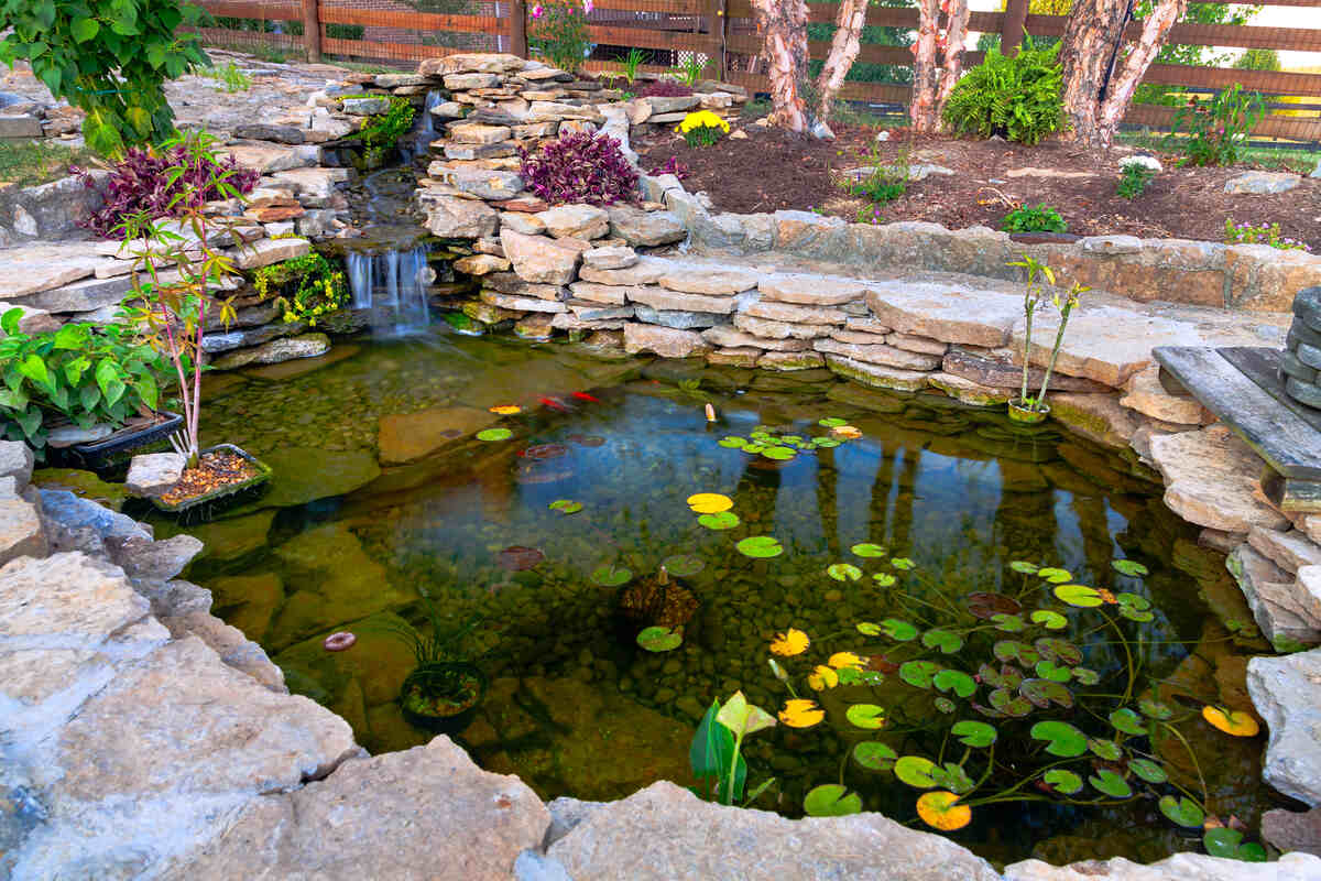 A&A Koi Ponds Project 5