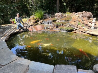 Backyard Koi Pond Design